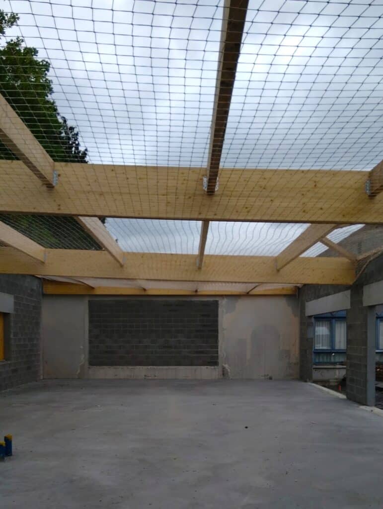 IMG 20250605 091820412