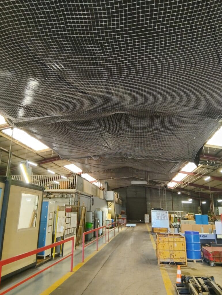 IMG 20250828 161502988